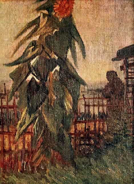 GF-1.jpg Garden with Sunflowers